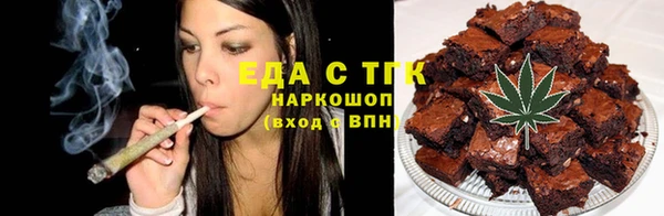 сатива Каменка