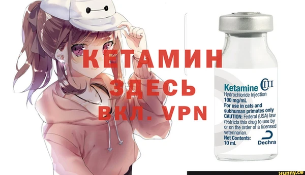 сатива Каменка