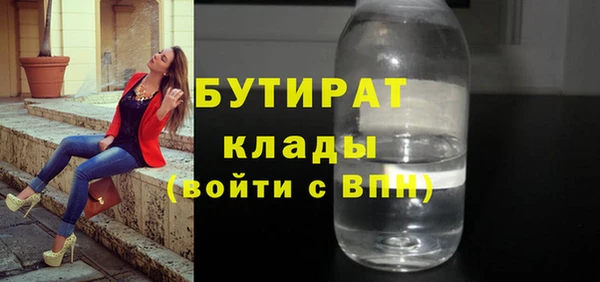 сатива Каменка
