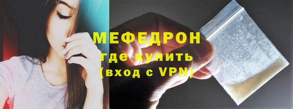 сатива Каменка