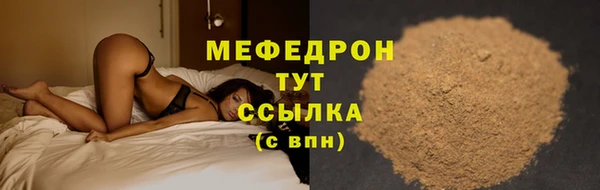 сатива Каменка