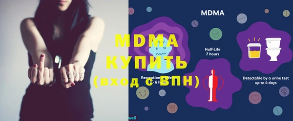 сатива Каменка