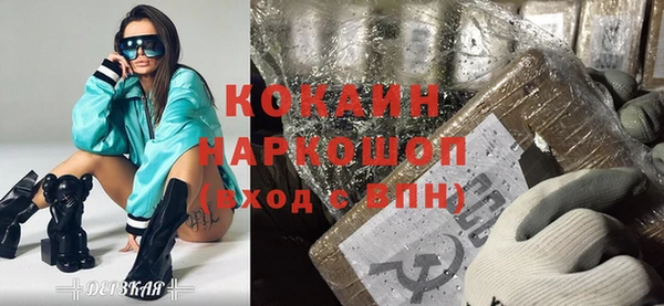 сатива Каменка