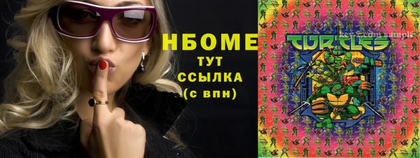 сатива Каменка