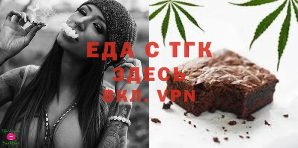 сатива Каменка