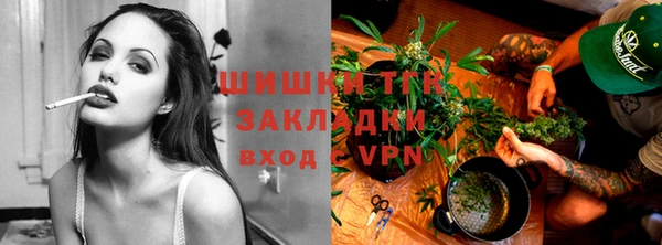 PSILOCYBIN Карпинск