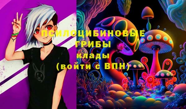 сатива Каменка