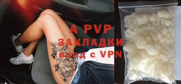 сатива Каменка