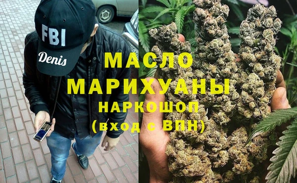 сатива Каменка