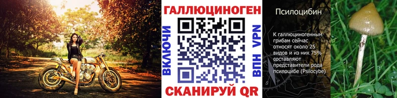 Псилоцибиновые грибы Psilocybine cubensis  Купить закладки  Верхняя Салда 